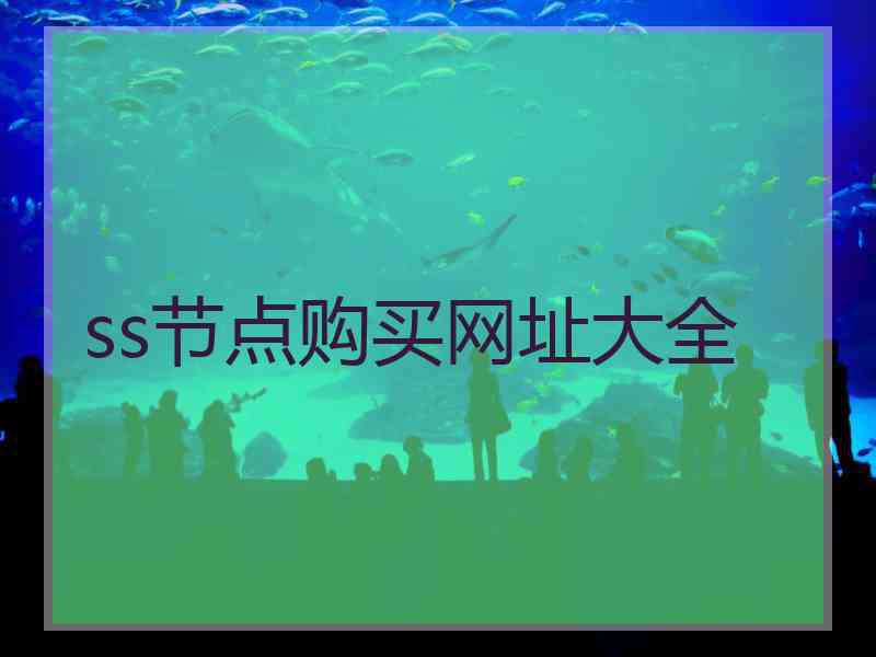 ss节点购买网址大全