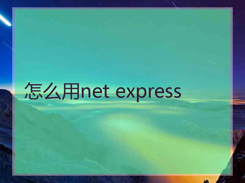 怎么用net express