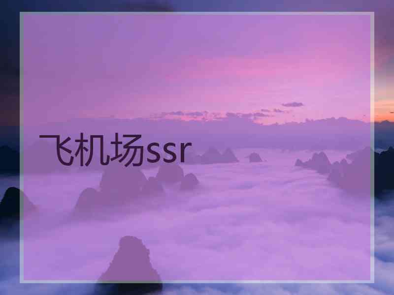 飞机场ssr