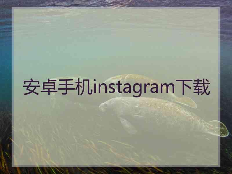 安卓手机instagram下载