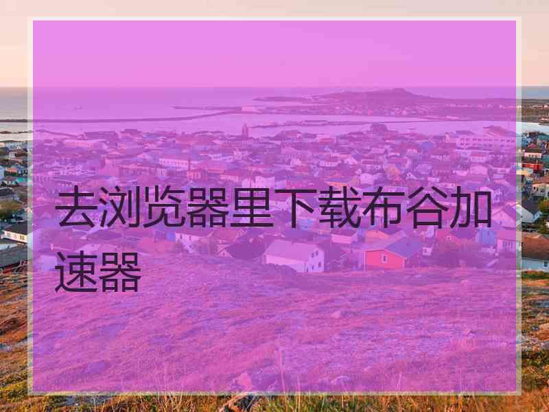 去浏览器里下载布谷加速器