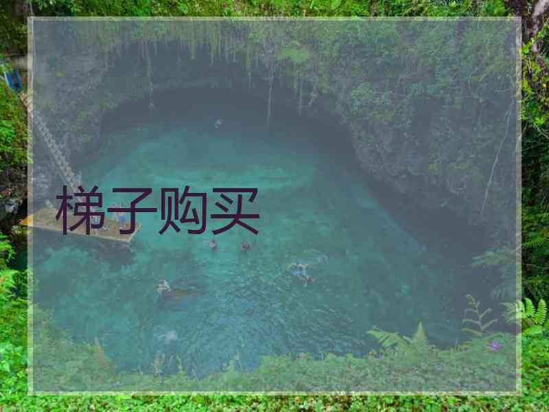 梯子购买