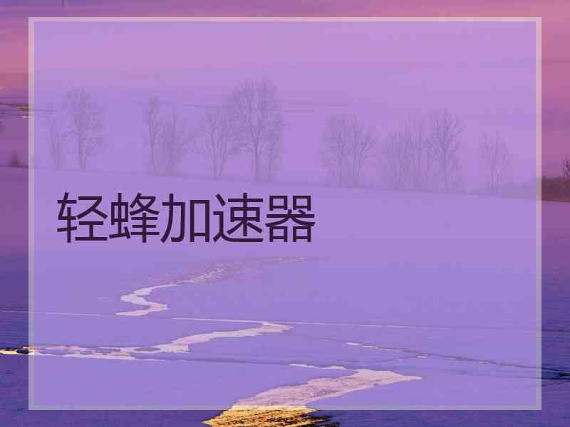 轻蜂加速器