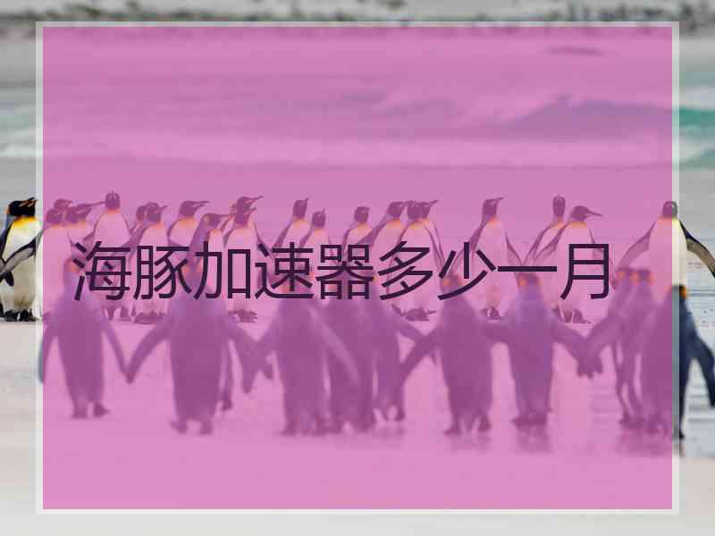 海豚加速器多少一月