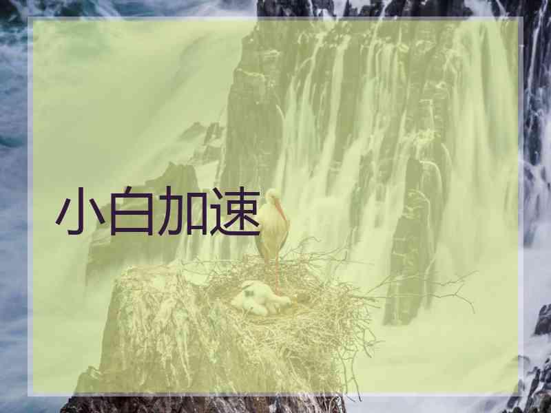 小白加速
