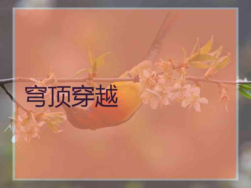 穹顶穿越