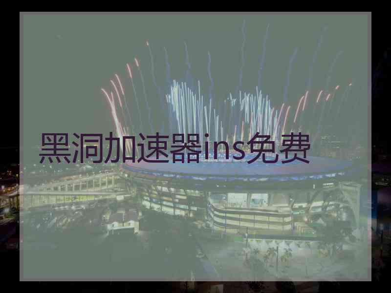 黑洞加速器ins免费
