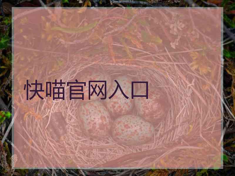 快喵官网入口