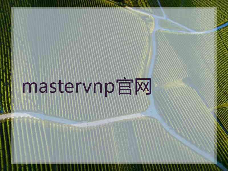 mastervnp官网