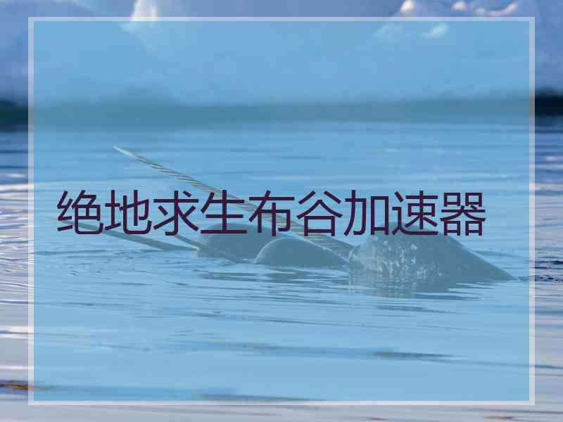绝地求生布谷加速器