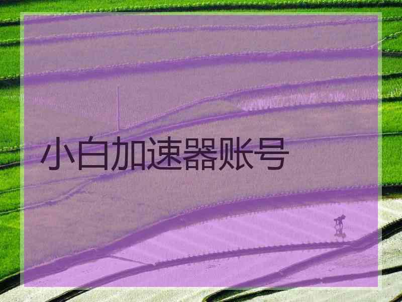 小白加速器账号