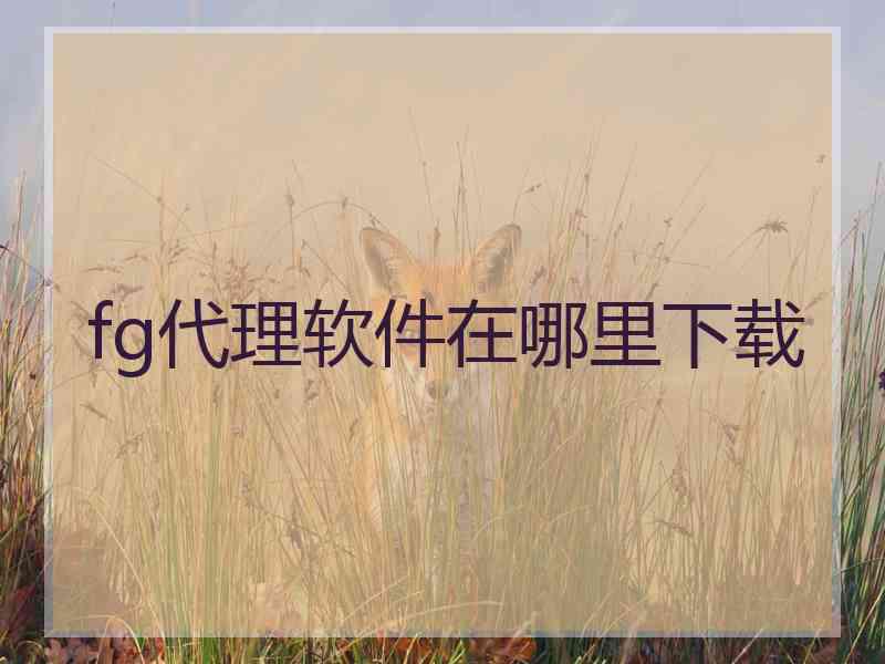 fg代理软件在哪里下载