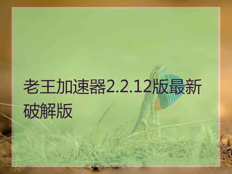 老王加速器2.2.12版最新破解版