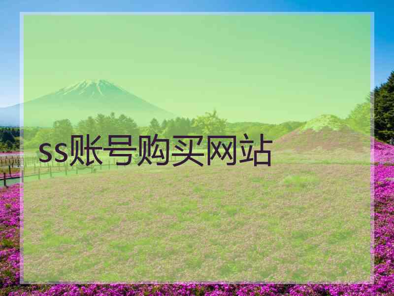 ss账号购买网站
