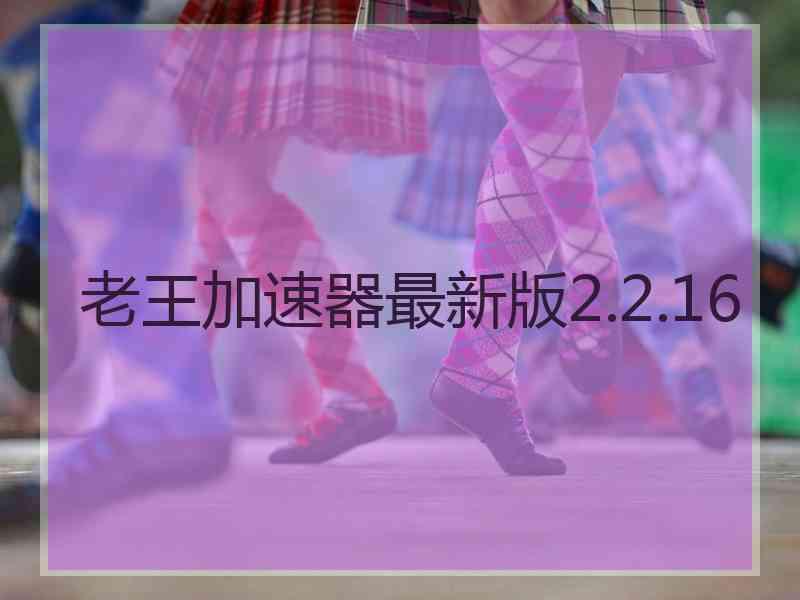 老王加速器最新版2.2.16