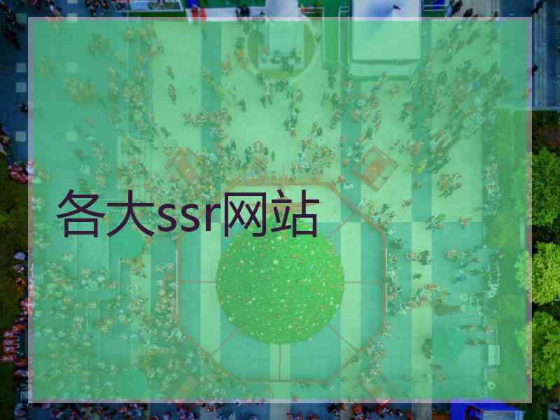 各大ssr网站