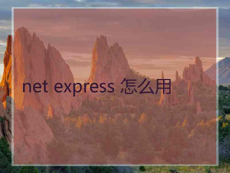 net express 怎么用