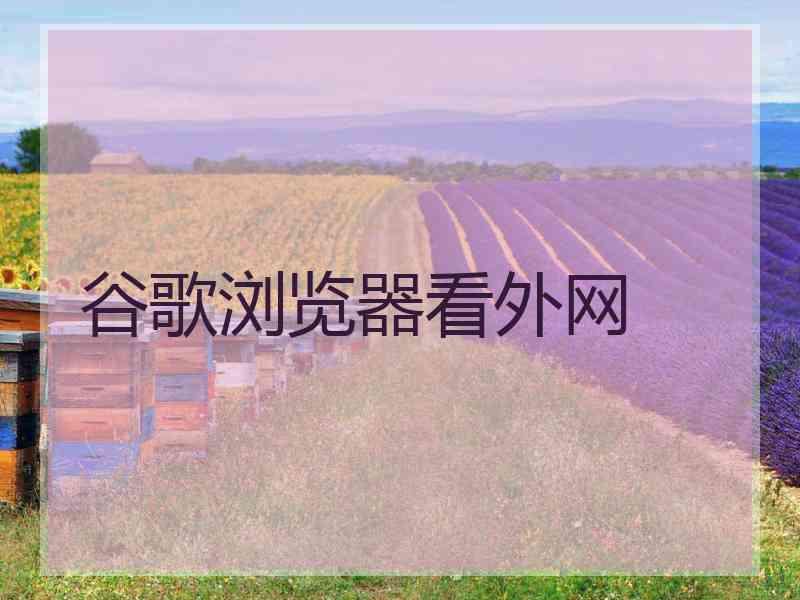 谷歌浏览器看外网