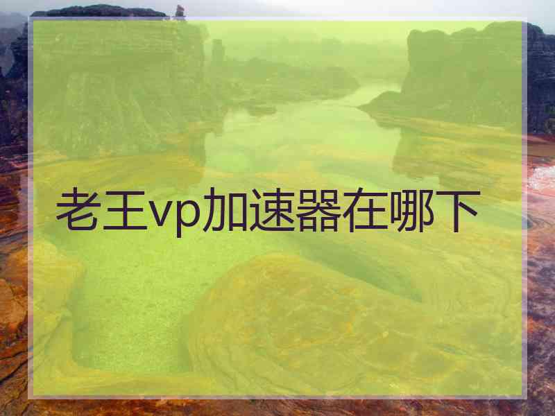 老王vp加速器在哪下