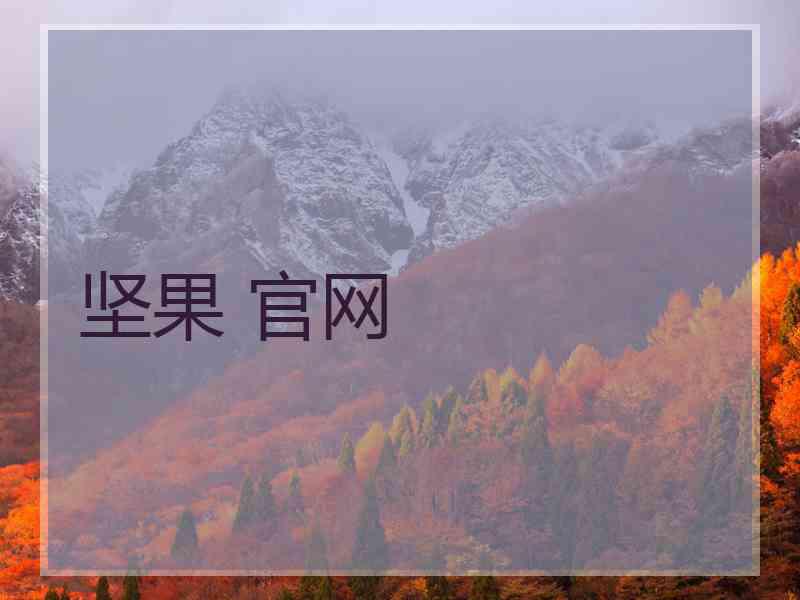 坚果 官网