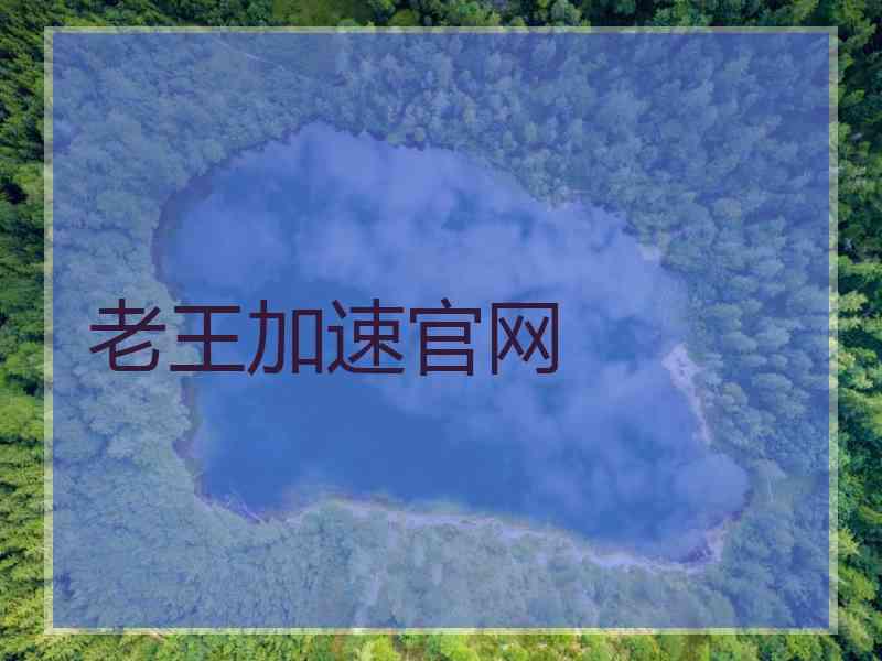 老王加速官网