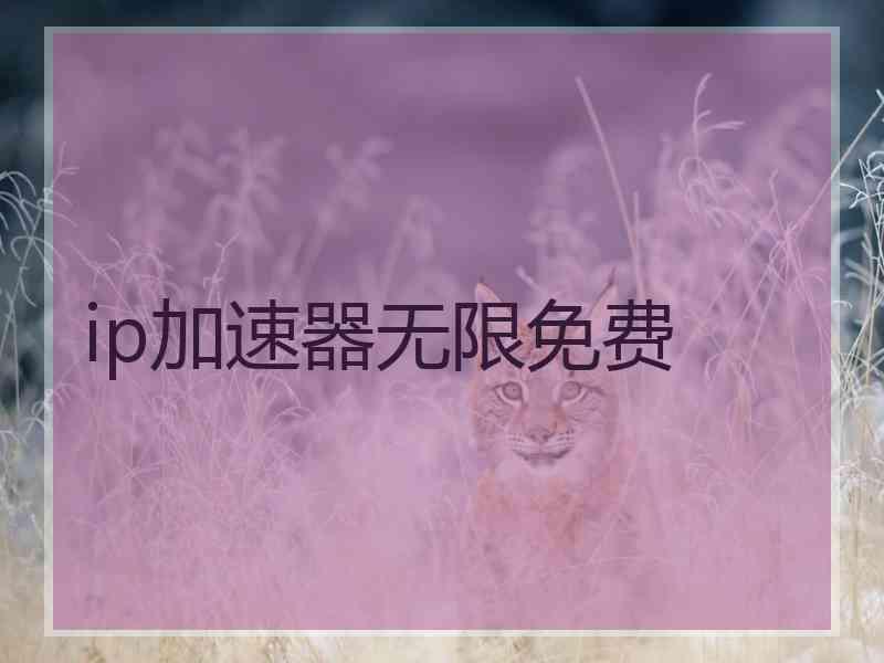ip加速器无限免费