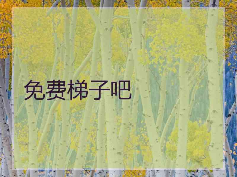 免费梯子吧