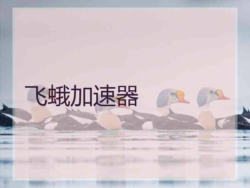飞蛾加速器