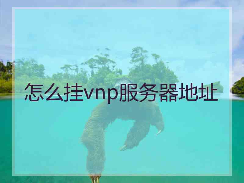 怎么挂vnp服务器地址