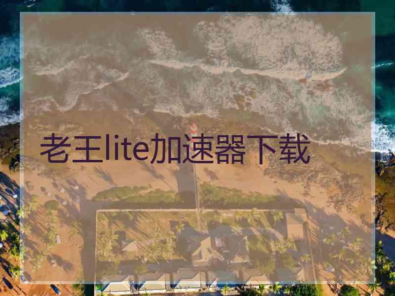 老王lite加速器下载