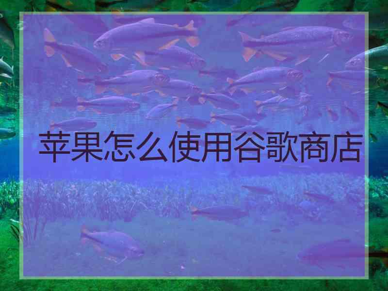 苹果怎么使用谷歌商店