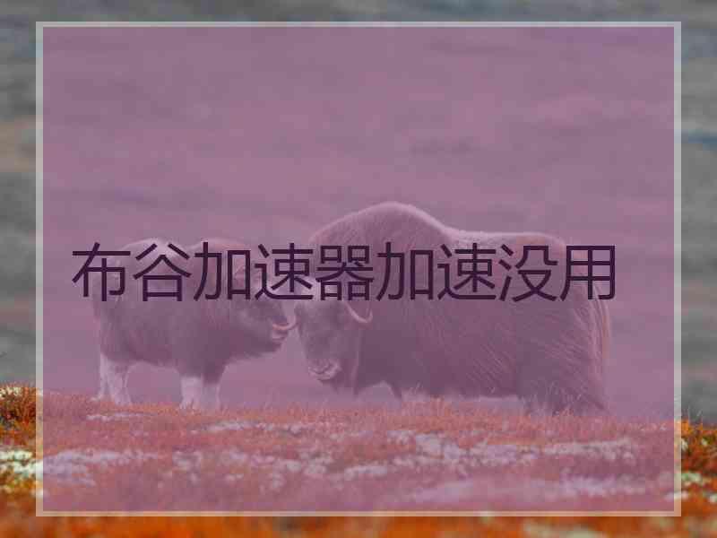 布谷加速器加速没用