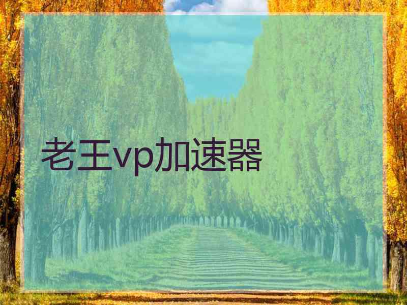 老王vp加速器