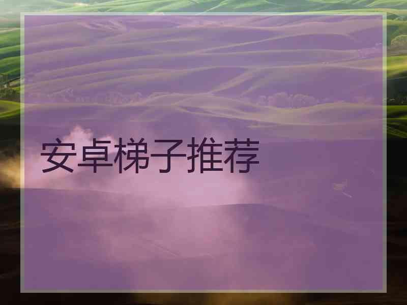 安卓梯子推荐