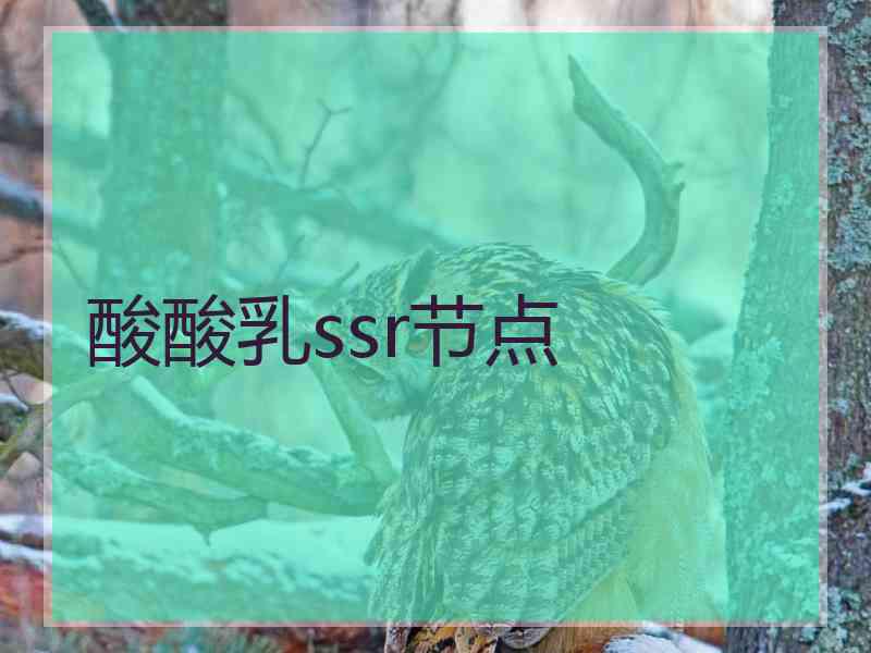 酸酸乳ssr节点
