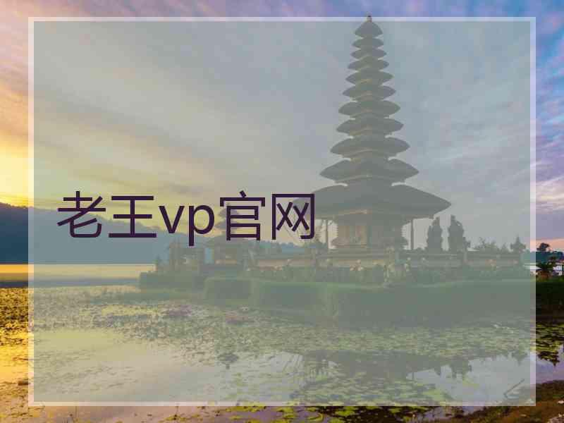 老王vp官网