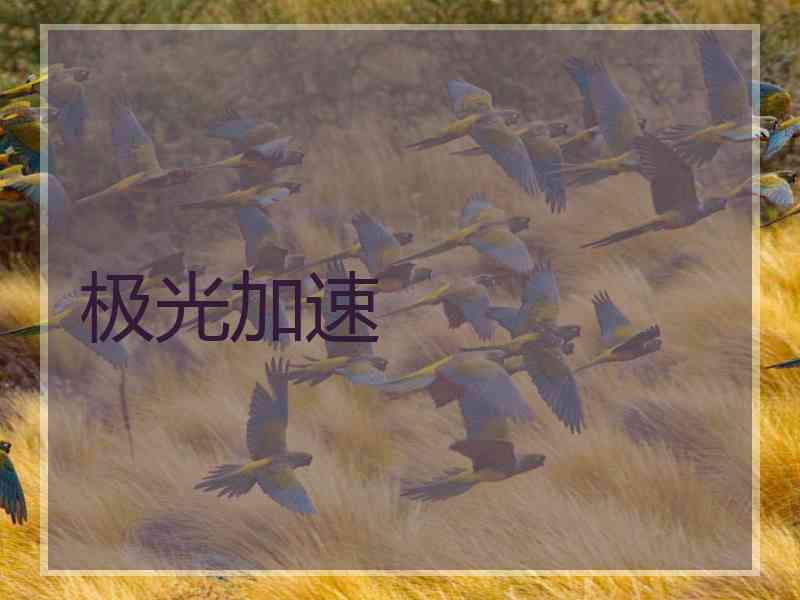 极光加速