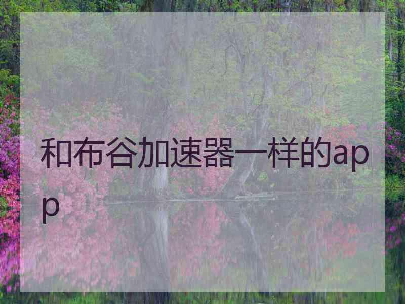 和布谷加速器一样的app