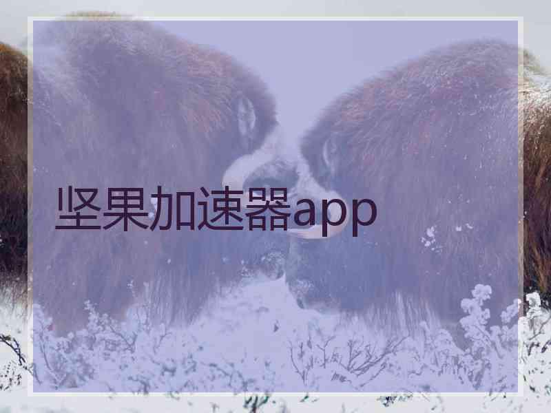 坚果加速器app