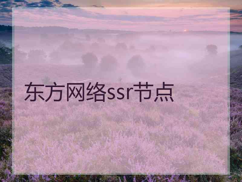 东方网络ssr节点
