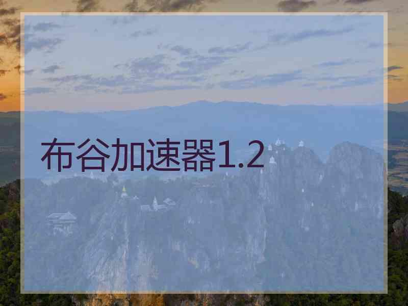 布谷加速器1.2